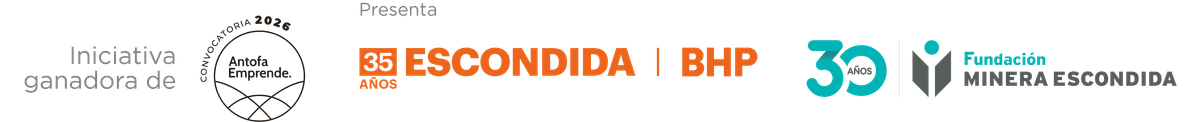 Fundación Minera Escondida
